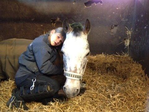 Appaloosa Rowena N (Kimi) billede 1