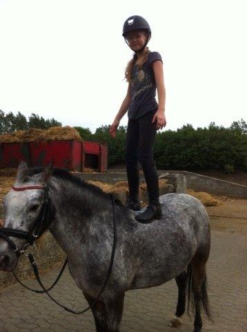 Appaloosa Rowena N (Kimi) billede 3