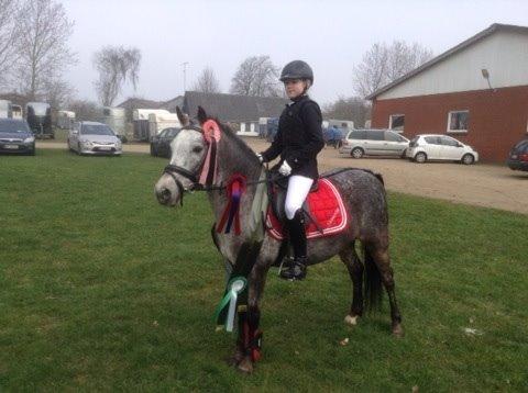 Appaloosa Rowena N (Kimi) billede 10