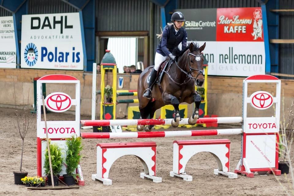 Holstener Alantic WJ billede 2