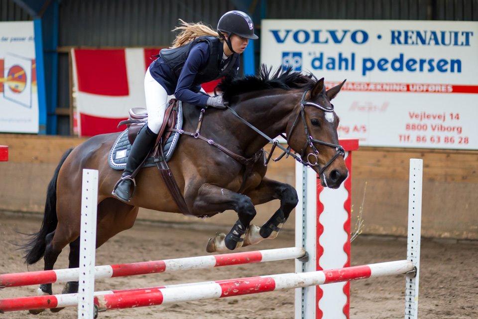 Holstener Alantic WJ billede 6