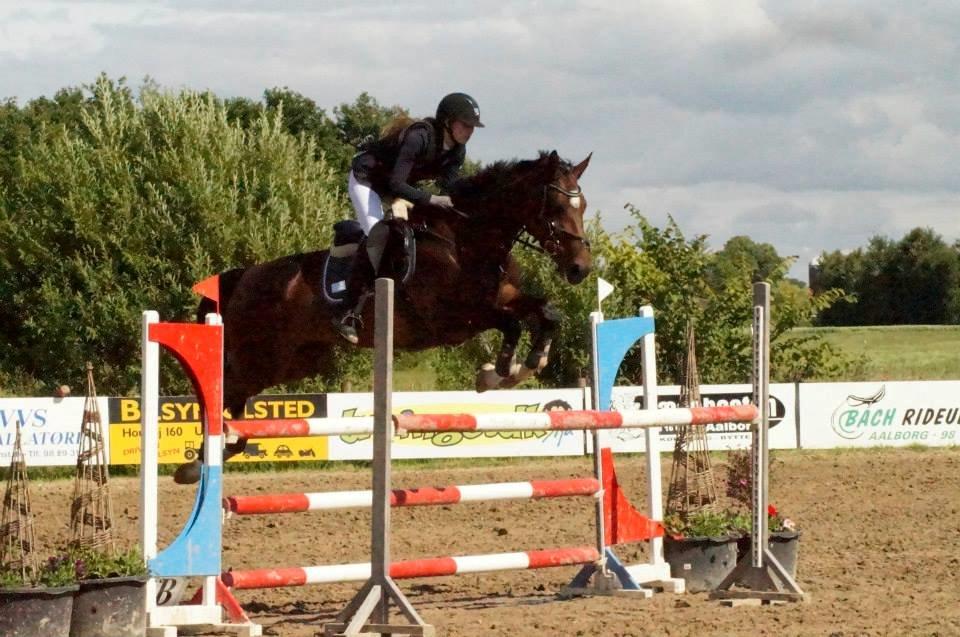 Holstener Alantic WJ billede 3