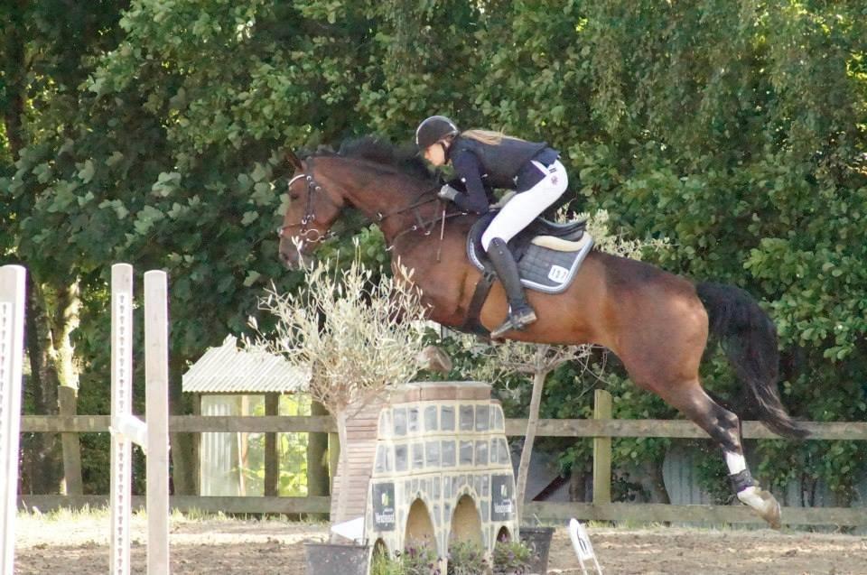 Holstener Alantic WJ billede 8