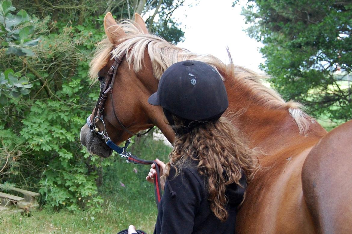 DSP Solvanggårds Chelin - Elsker den pony! billede 4