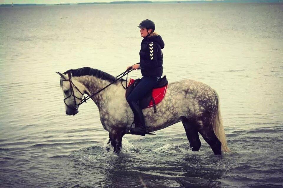 Anden særlig race Bech's Padraigh aka. Paddy :-) - Verdens smukkeste <3 billede 3