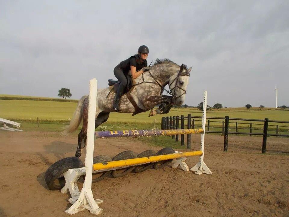 Anden særlig race Bech's Padraigh aka. Paddy :-) - Sikke nogle forben altså!! :-D billede 4