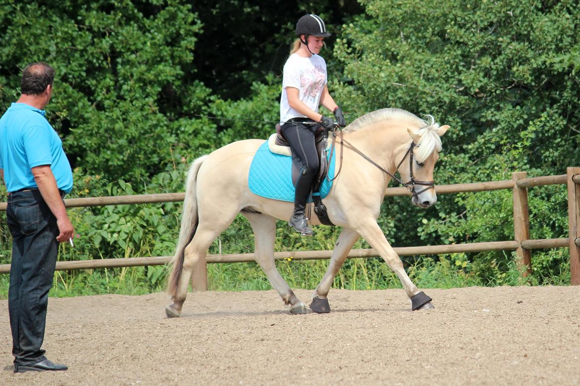 Fjordhest Lamhaves Confetti - Undervisning ved HP Staugaard på Ung Camp 2014 (Afholdt på Birken) billede 4