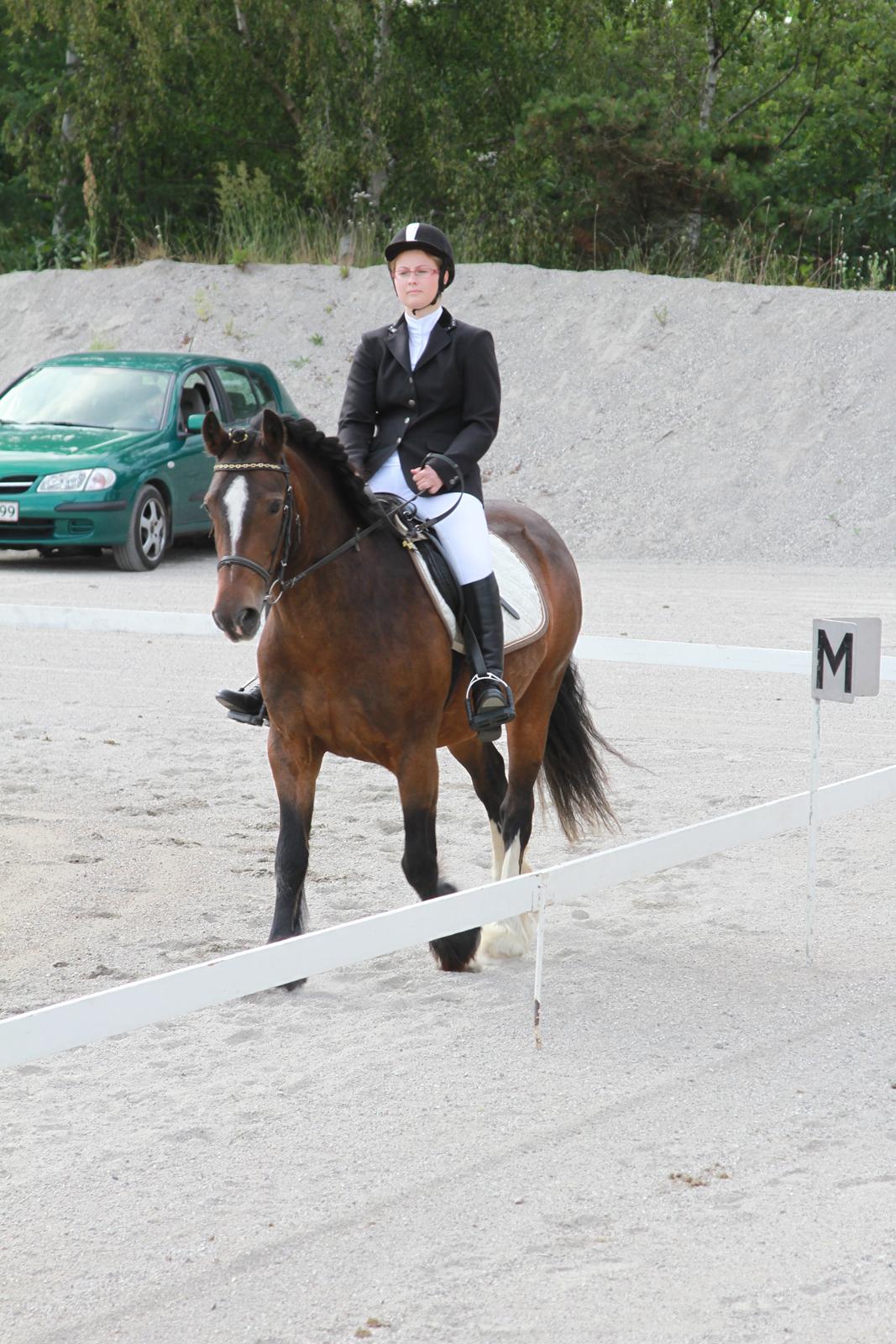 Irish Cob Romany's Hot Chokolate <3 R.I.P <3 - Vores første stævne - LD1 billede 7