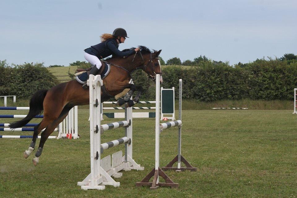 Tysk Sportspony Emira C *A-pony* billede 12