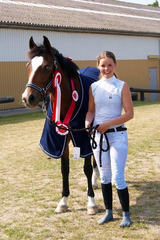 Tysk Sportspony Emira C *A-pony* billede 2