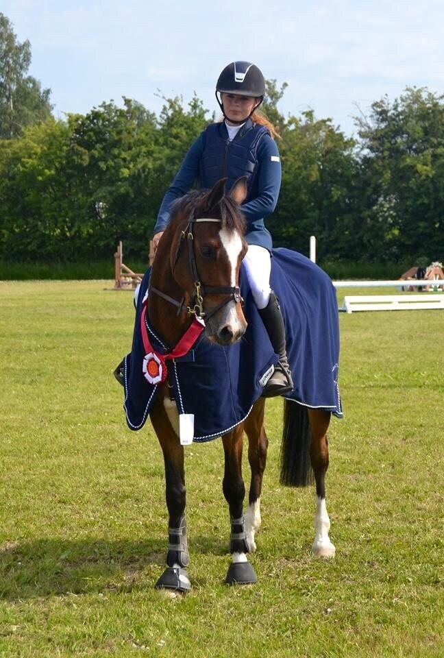 Tysk Sportspony Emira C *A-pony* billede 15