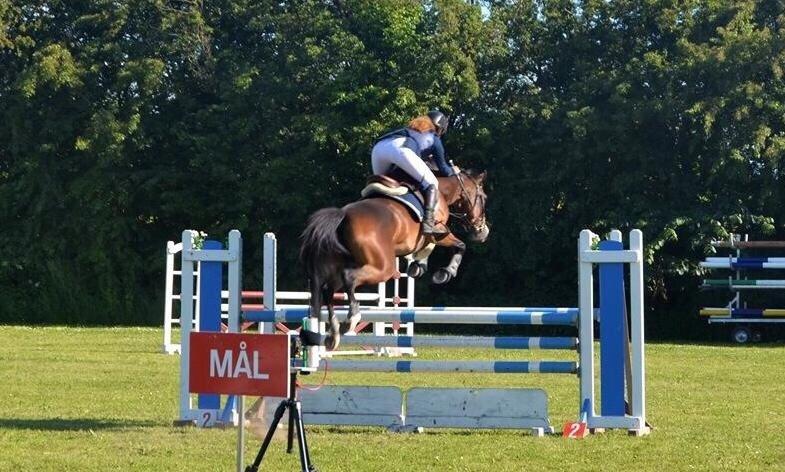 Tysk Sportspony Emira C *A-pony* billede 17