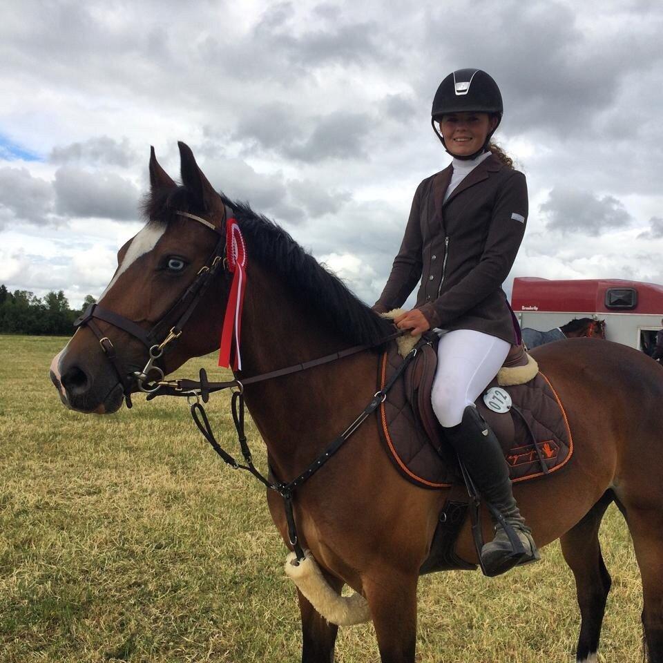 Tysk Sportspony Emira C *A-pony* billede 20