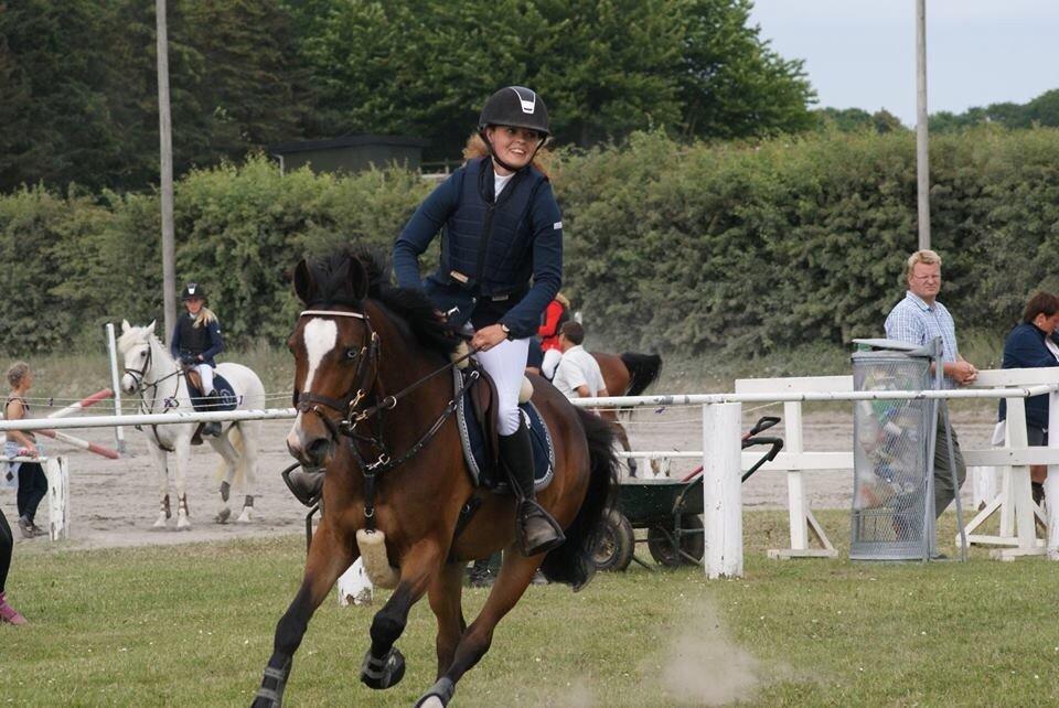 Tysk Sportspony Emira C *A-pony* billede 21