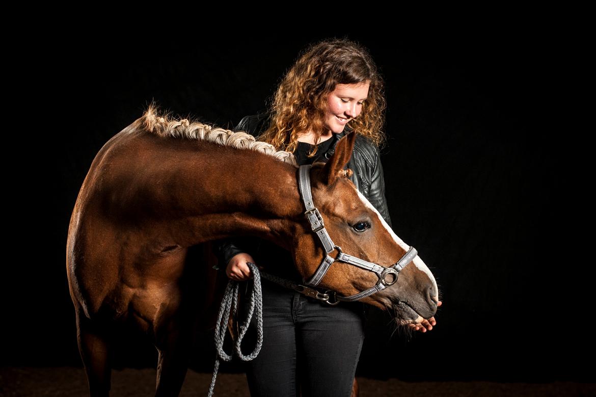 Anden særlig race Stabygårds Misty billede 1