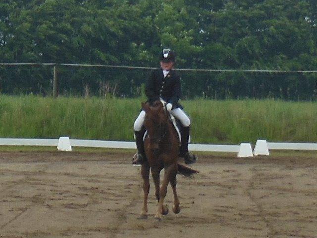 Anden særlig race Nagengaard´s Cesare A-pony <3 -Rides af min søster - Ponydyret tester sig lige i en LA5 billede 12