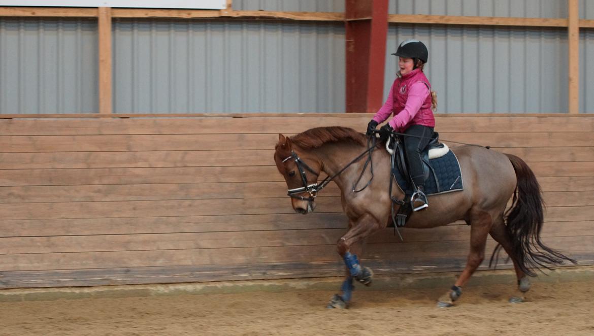 Anden særlig race Nagengaard´s Cesare A-pony <3 -Rides af min søster - Så fin billede 13