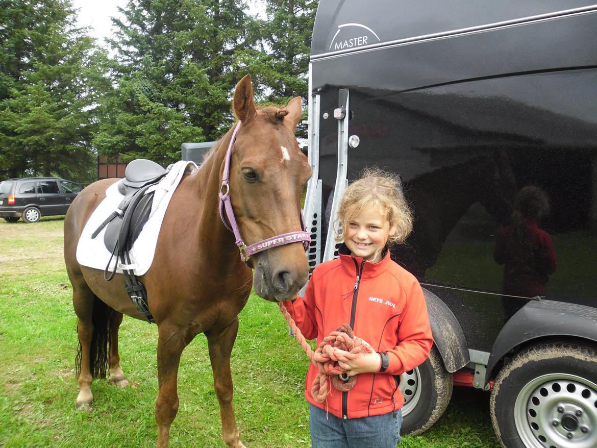 Anden særlig race Nagengaard´s Cesare A-pony <3 -Rides af min søster - 2011 Nete og Cesare billede 17
