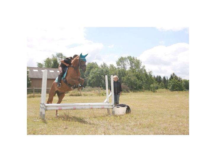 {{currentPhoto.altText}} billede {{currentPhoto.number}}