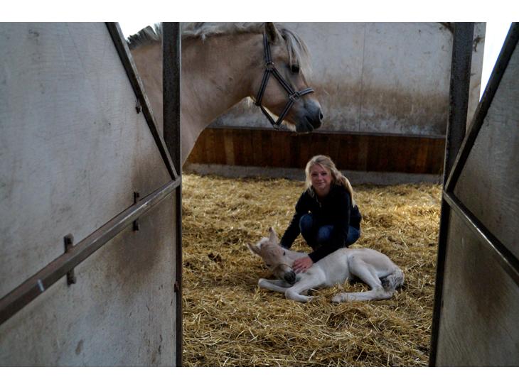 {{currentPhoto.altText}} billede {{currentPhoto.number}}