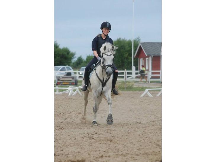 {{currentPhoto.altText}} billede {{currentPhoto.number}}