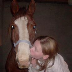 Anden særlig race Lucia