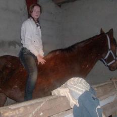 Anden særlig race Lucia