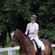 Dansk Varmblod Kildebo's Heartcon