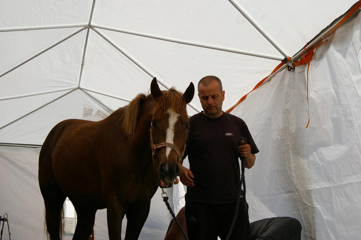 DSP Bentzens Baloo billede 4