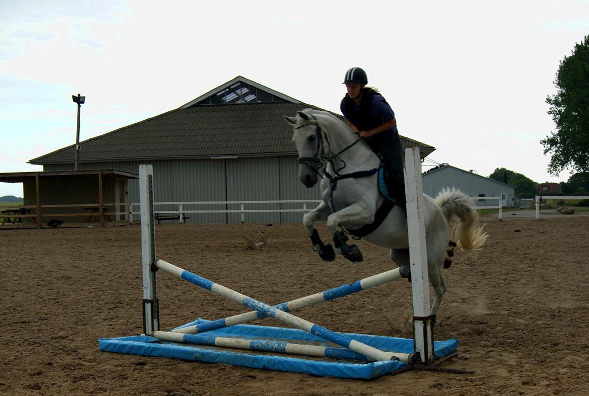 Anden særlig race Just My Luck (Lucky) - Sommer 2014 billede 24