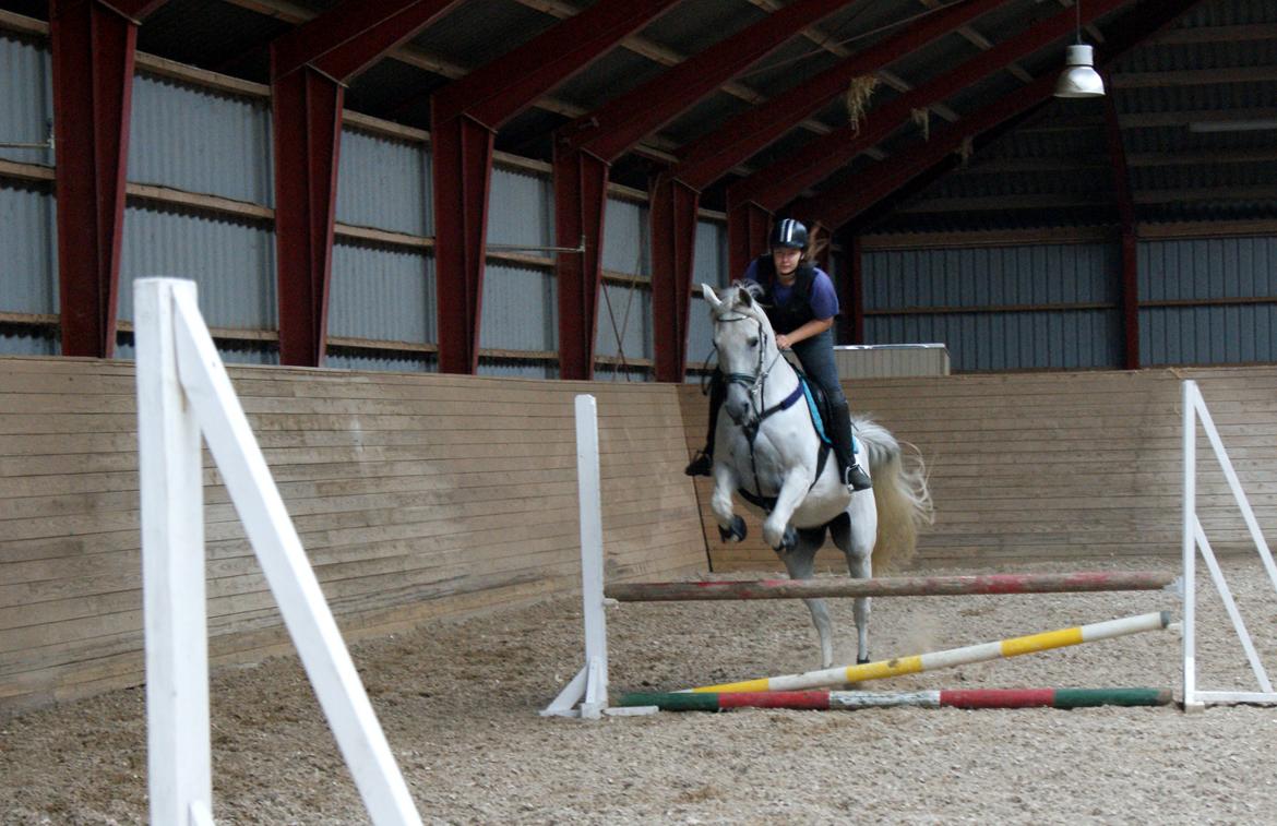 Anden særlig race Just My Luck (Lucky) - Forår 2014 billede 25