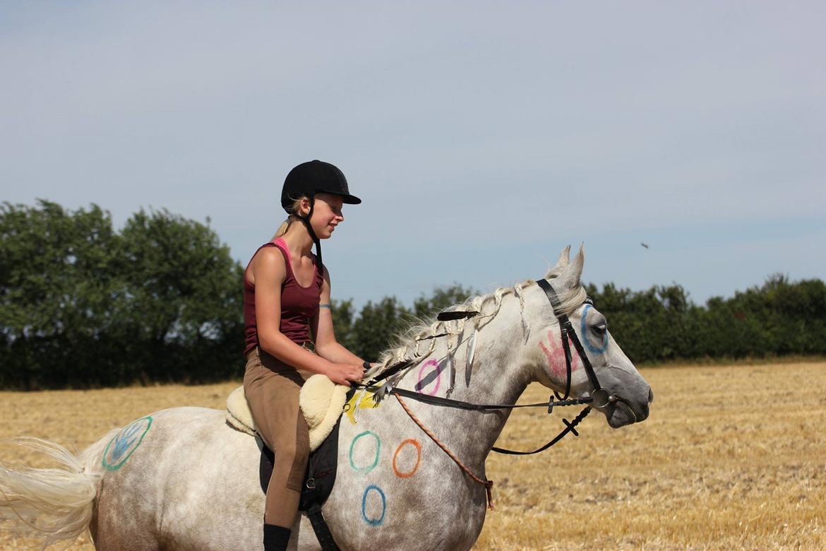 Connemara Bech's mighty lad billede 6