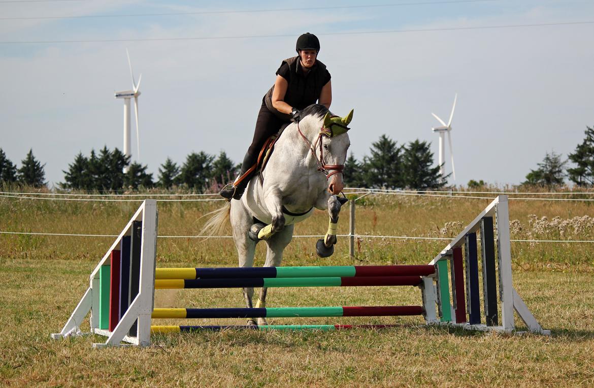 Holstener Fruerholm's Adonis *For Evigt Elsket <3* - Spring kursus ved Tina Lund billede 26