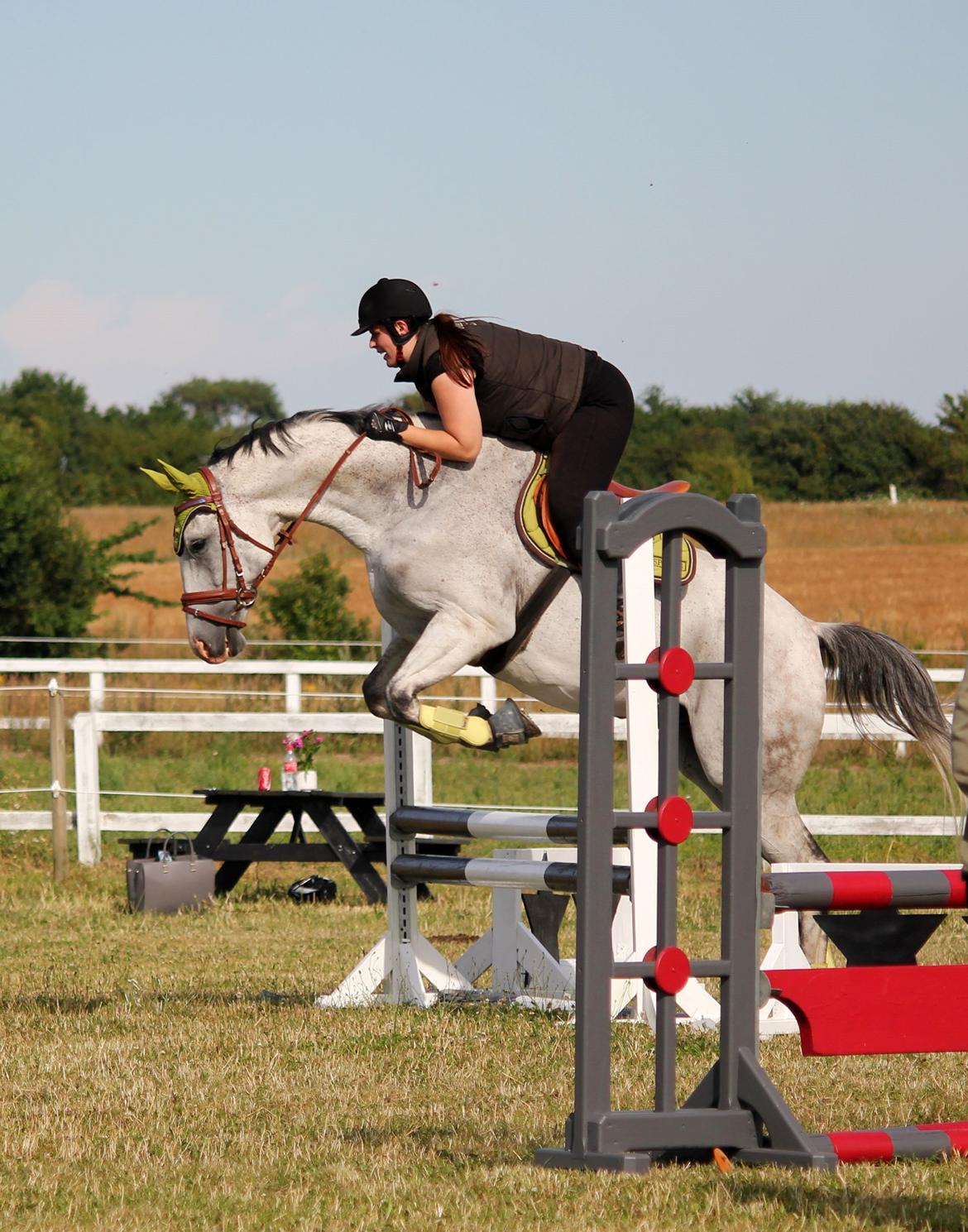 Holstener Fruerholm's Adonis *For Evigt Elsket <3* - Spring kursus ved Tina Lund billede 33