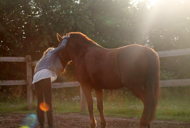 Connemara Quiva <3 - Min! - August 2014 billede 18