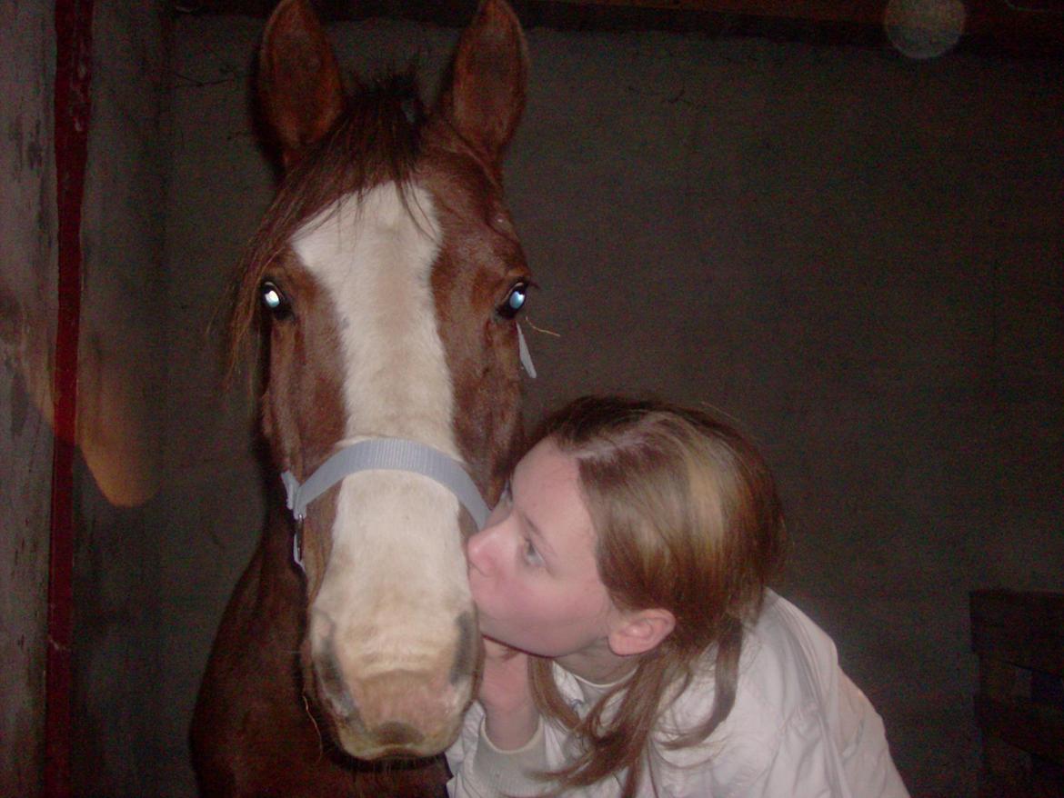 Anden særlig race Lucia billede 1