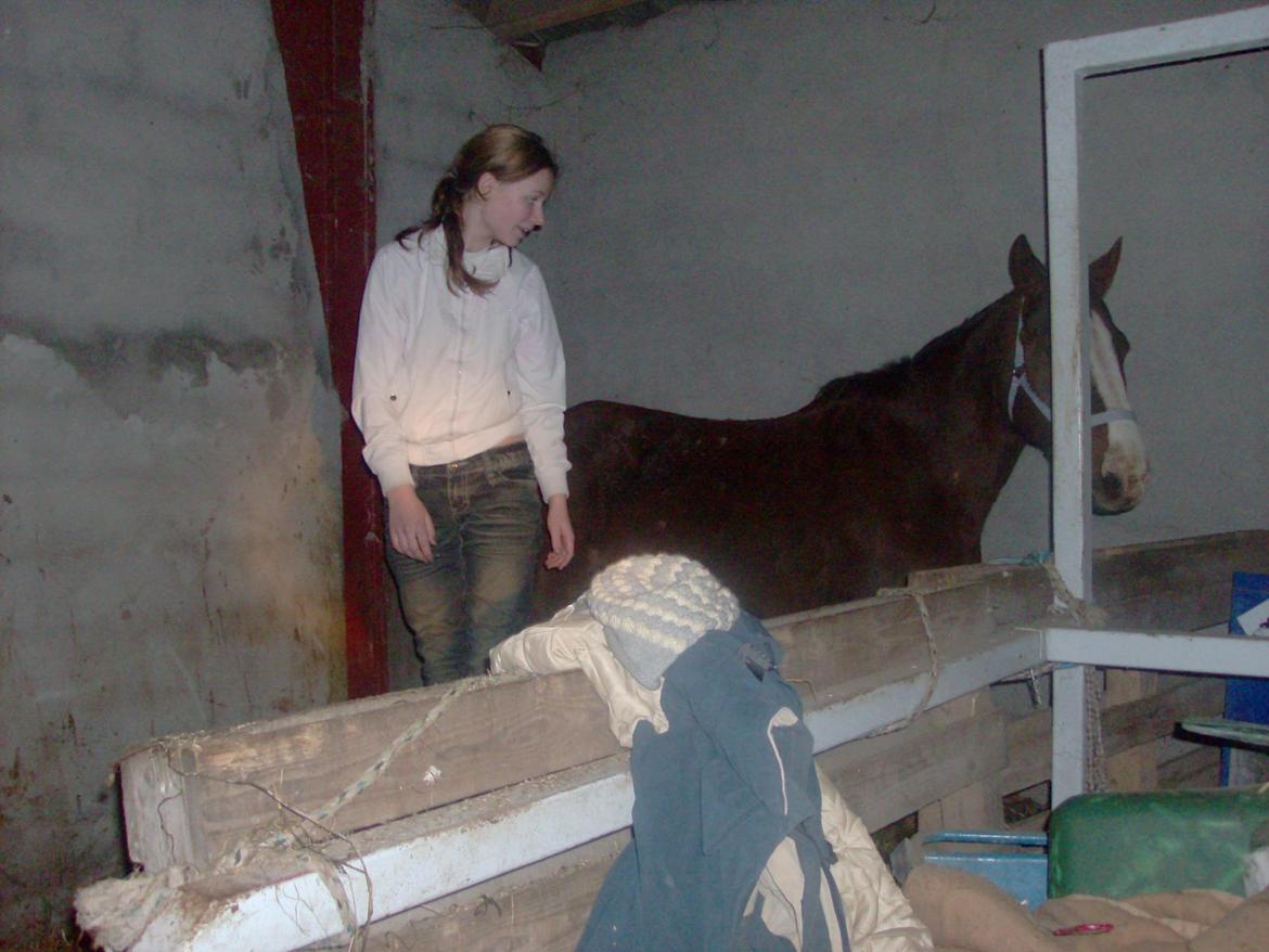 Anden særlig race Lucia billede 4