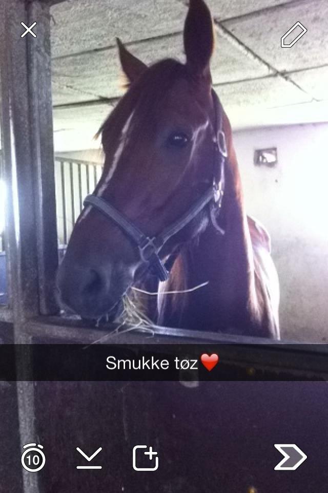 Traver pennille k billede 4