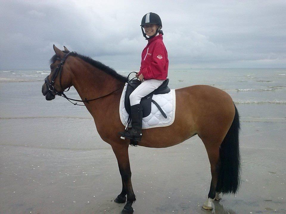 DSP Beauty billede 5