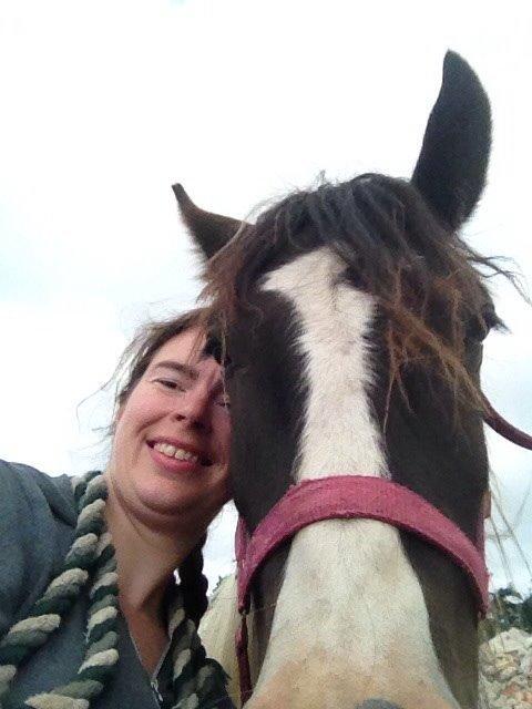 Tinker Dyffes ingolf billede 4