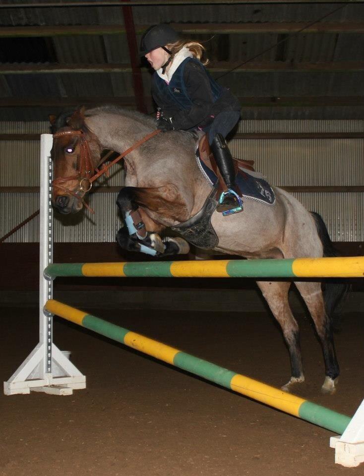 Hollandsk Sportspony Sylvia billede 19