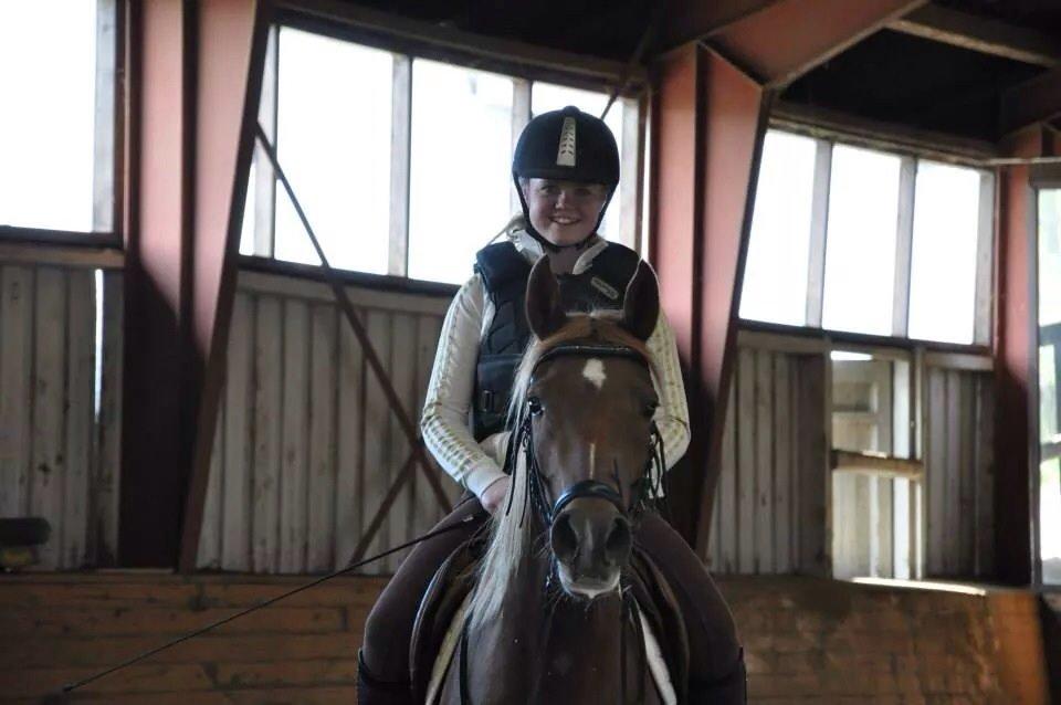 Pinto Araber Gantrup Painted Rosa billede 9