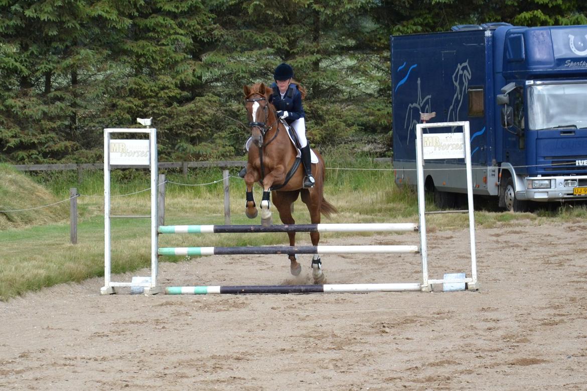 Dansk Varmblod Aysia e - Stævne NDRK - Juni 2014 billede 8