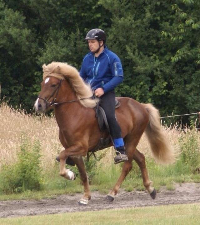 Islænder Garon fra Öld billede 7