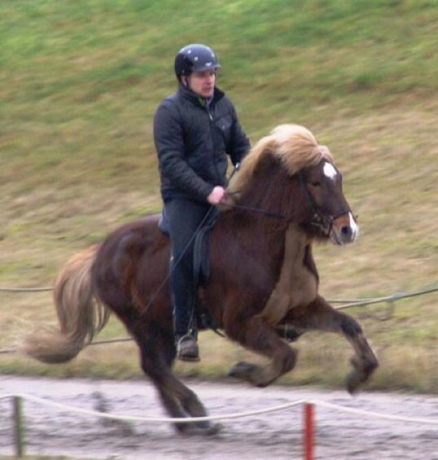 Islænder Garon fra Öld billede 4