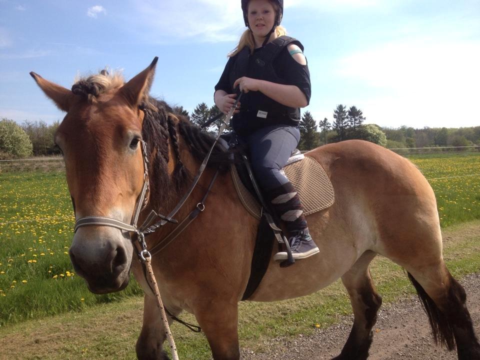 Belgier Alberte af toftebo (Berte) R.I.P smukke tøs - Alberte på tur med mig på ryggen :D <3 billede 8