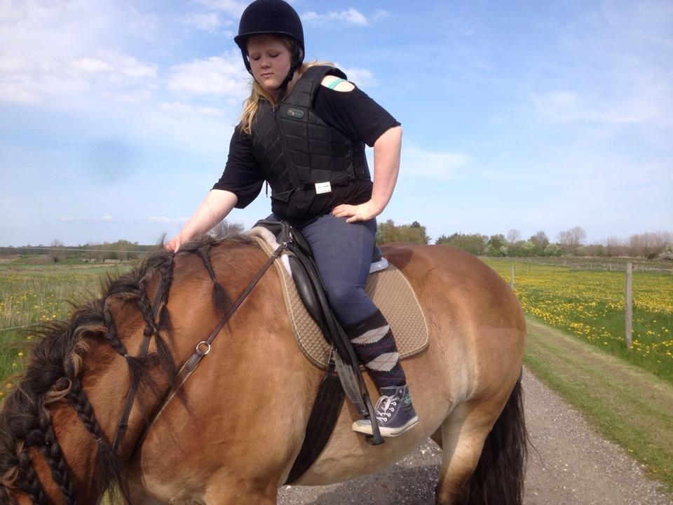 Belgier Alberte af toftebo (Berte) R.I.P smukke tøs - Og igen <3 billede 7