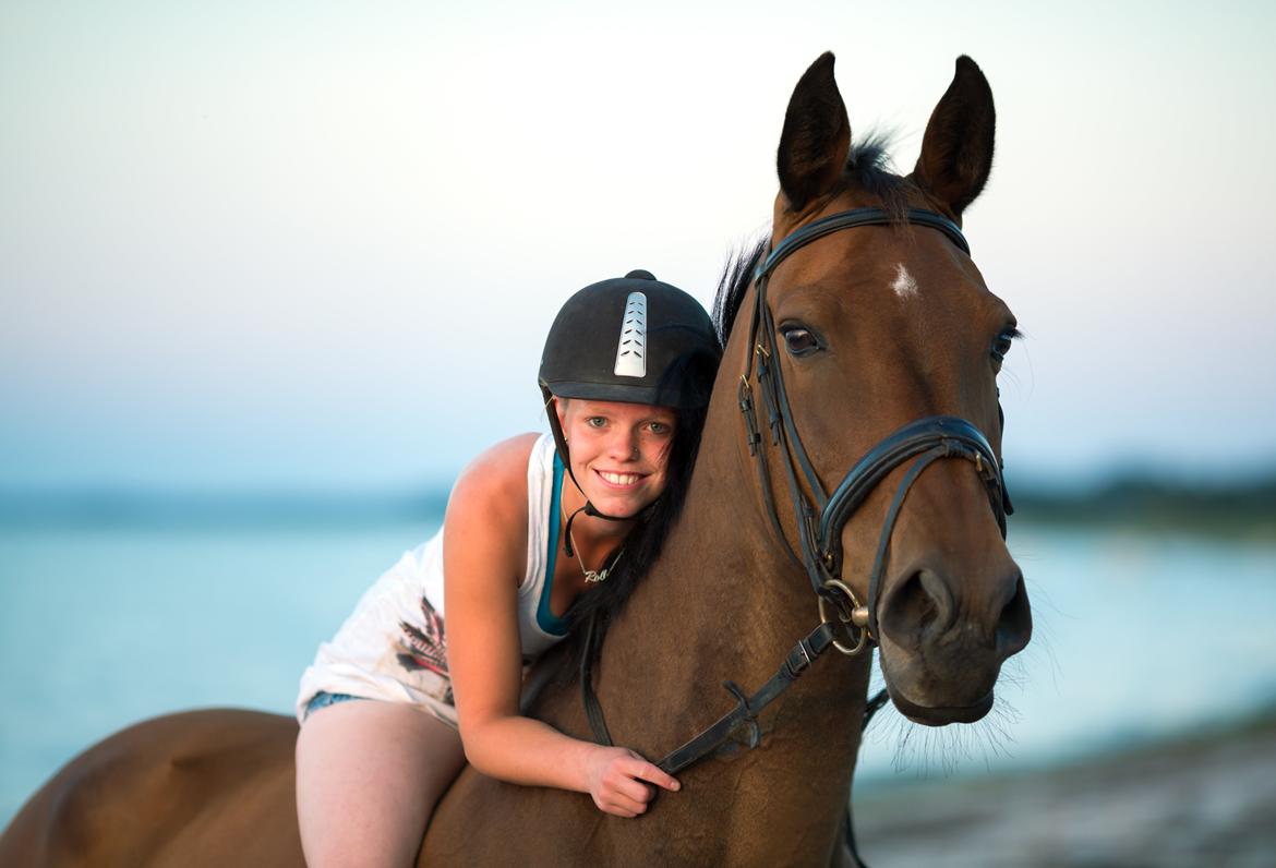 Zangersheide D. Chriesafie Z - Tusind tak igen for de fantastiske billeder! Foto: Frank Sørensen billede 1
