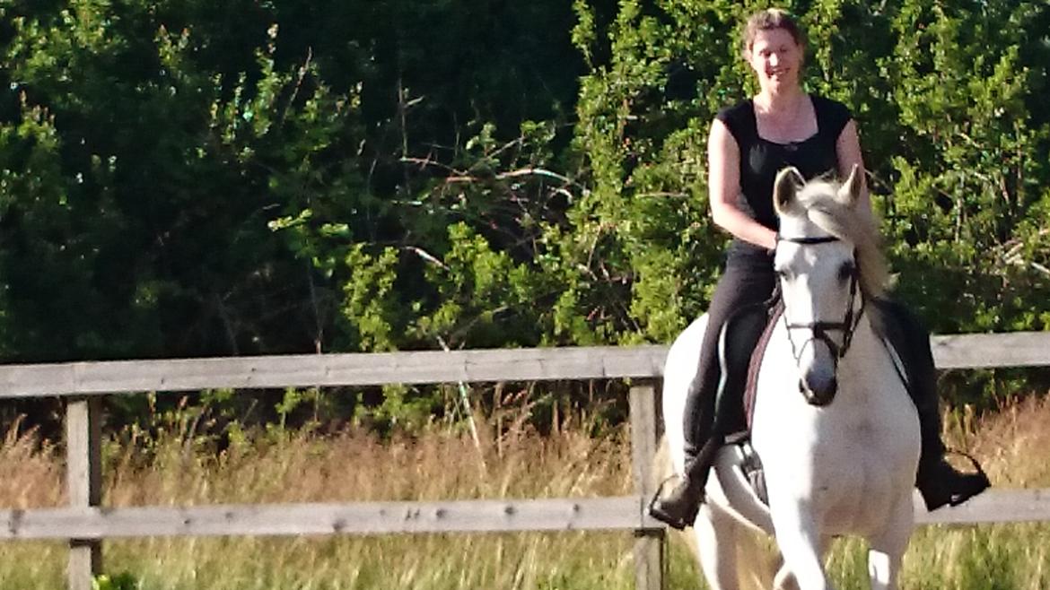 Anden særlig race Raya billede 14