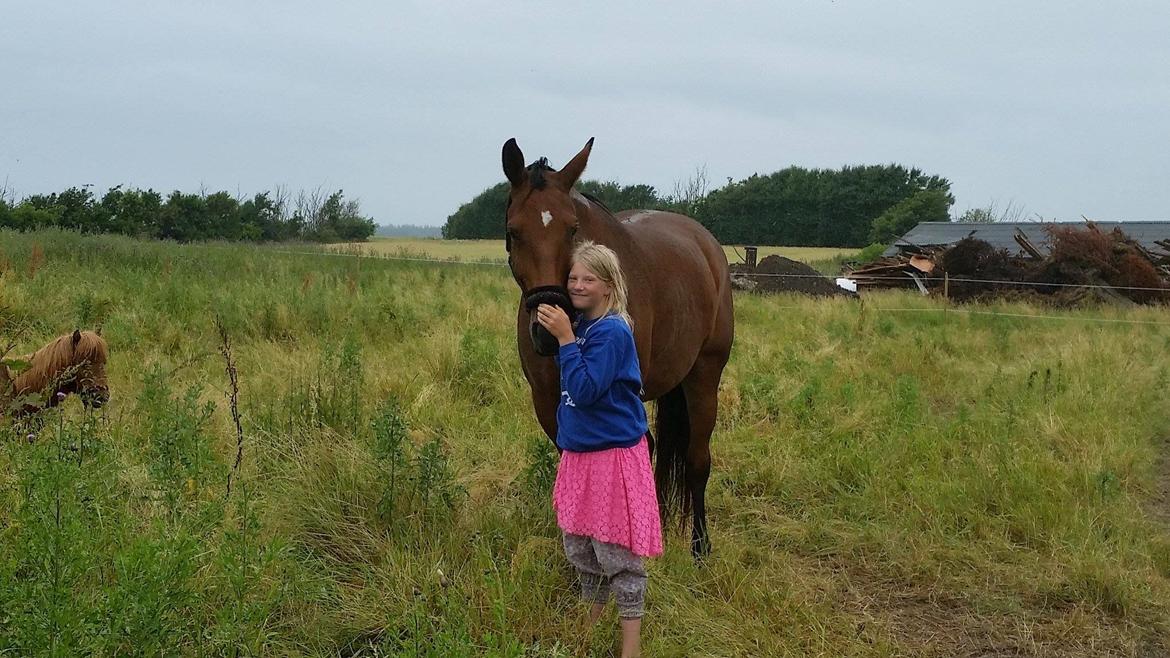 Oldenborg Freja Søndervang - Victoria hygger med Freja billede 4